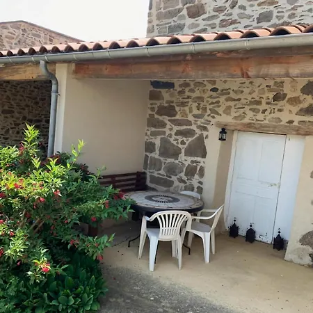 Charming Near The Forest Saint-Beauzire (Haute-Loire)