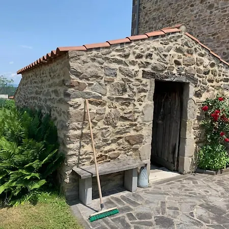 Charming Near The Forest